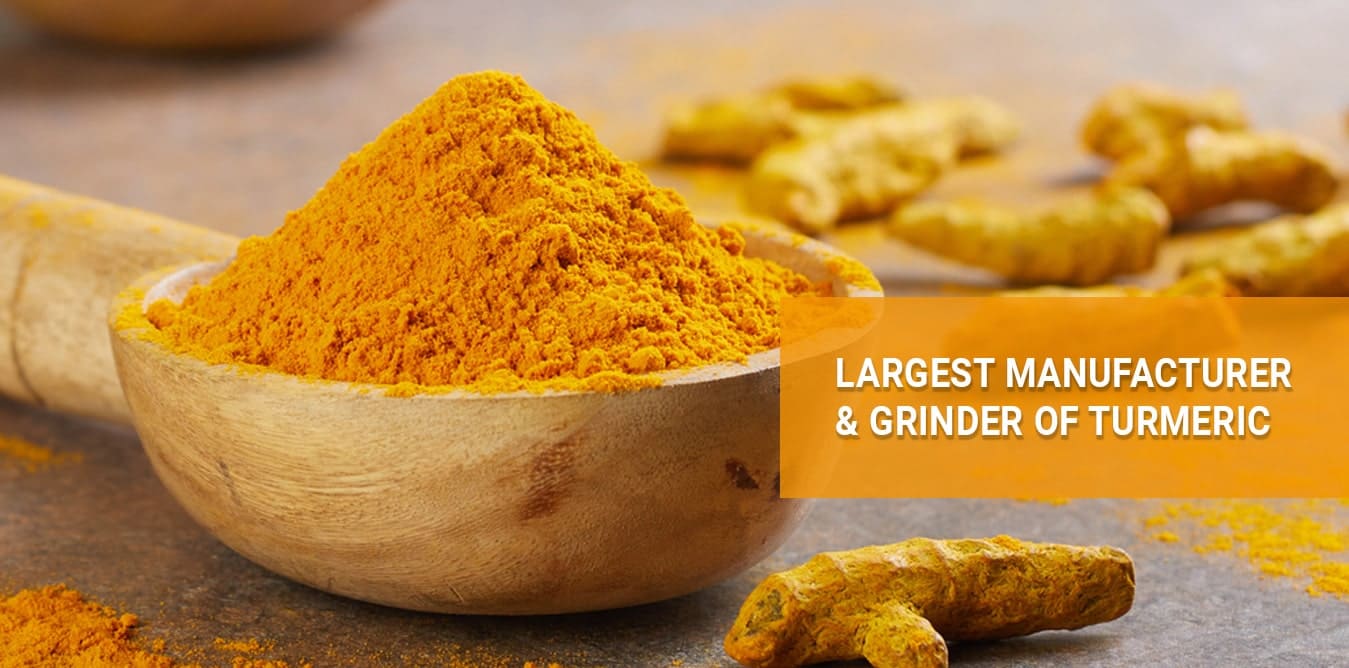 Largest Manufacturer and Grinder of Turmeric